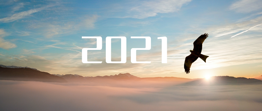 乘“峰”而上，智“盈”未來 ——2021年盈峰環(huán)境高級(jí)資深副總裁新年開工動(dòng)員